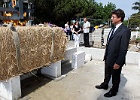 Botte de paille